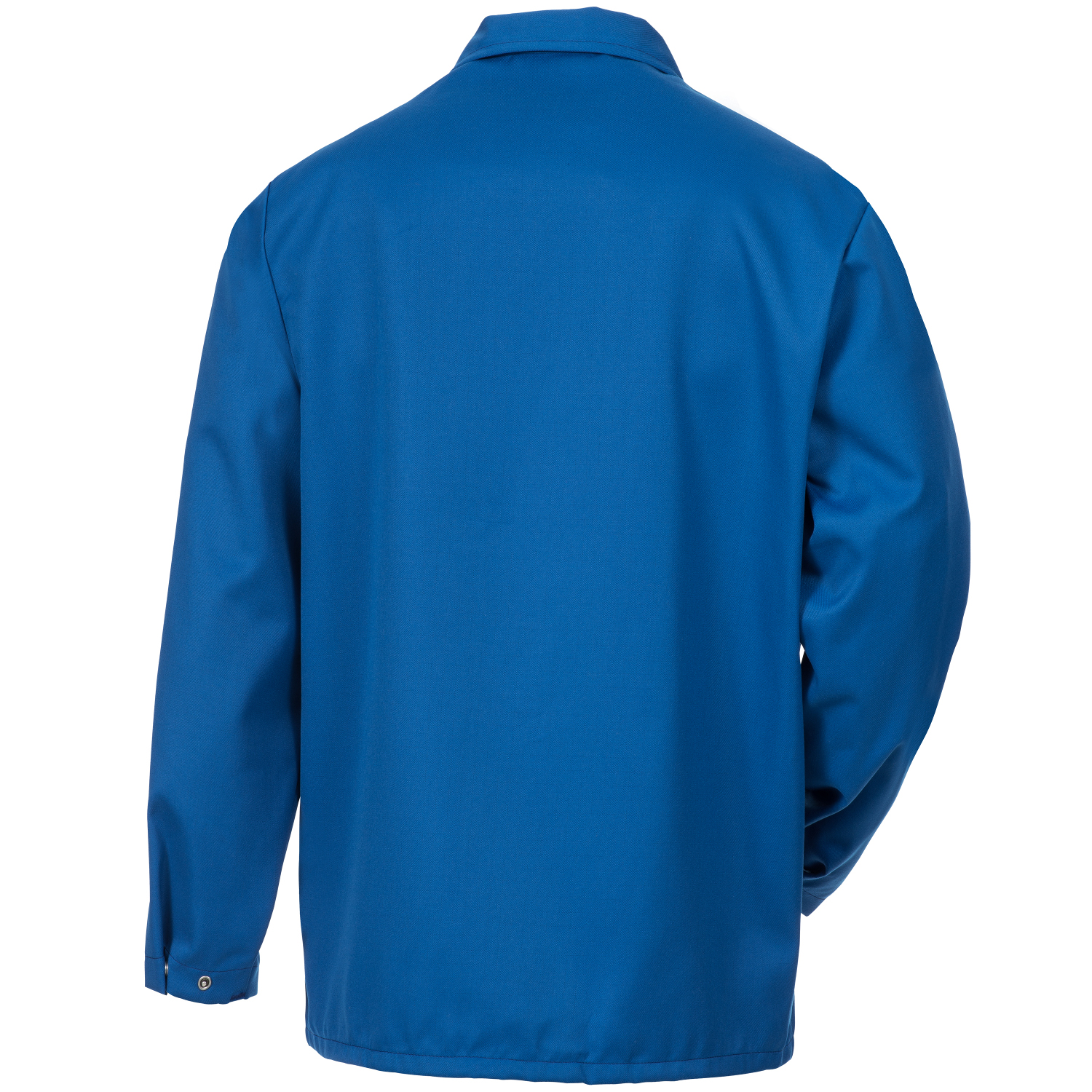 020061000300641_hinten