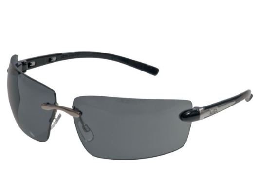 pc-dunkel MSA Auer 10145569 Schutzbrille Alaska Scheibe getönt