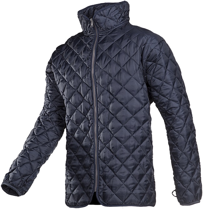 428A_945_A2_EU1_DEL010