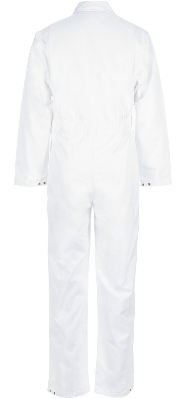 Food_5350_360_hinten