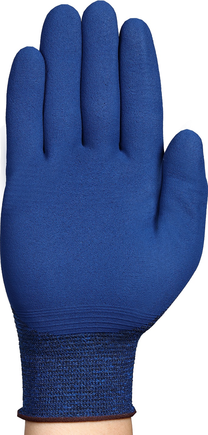 INGL9895_11-819_Back