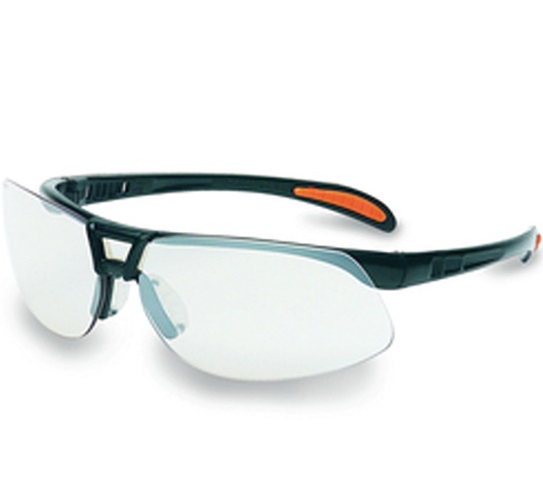 Honeywell Schutzbrille Protégé 1015366